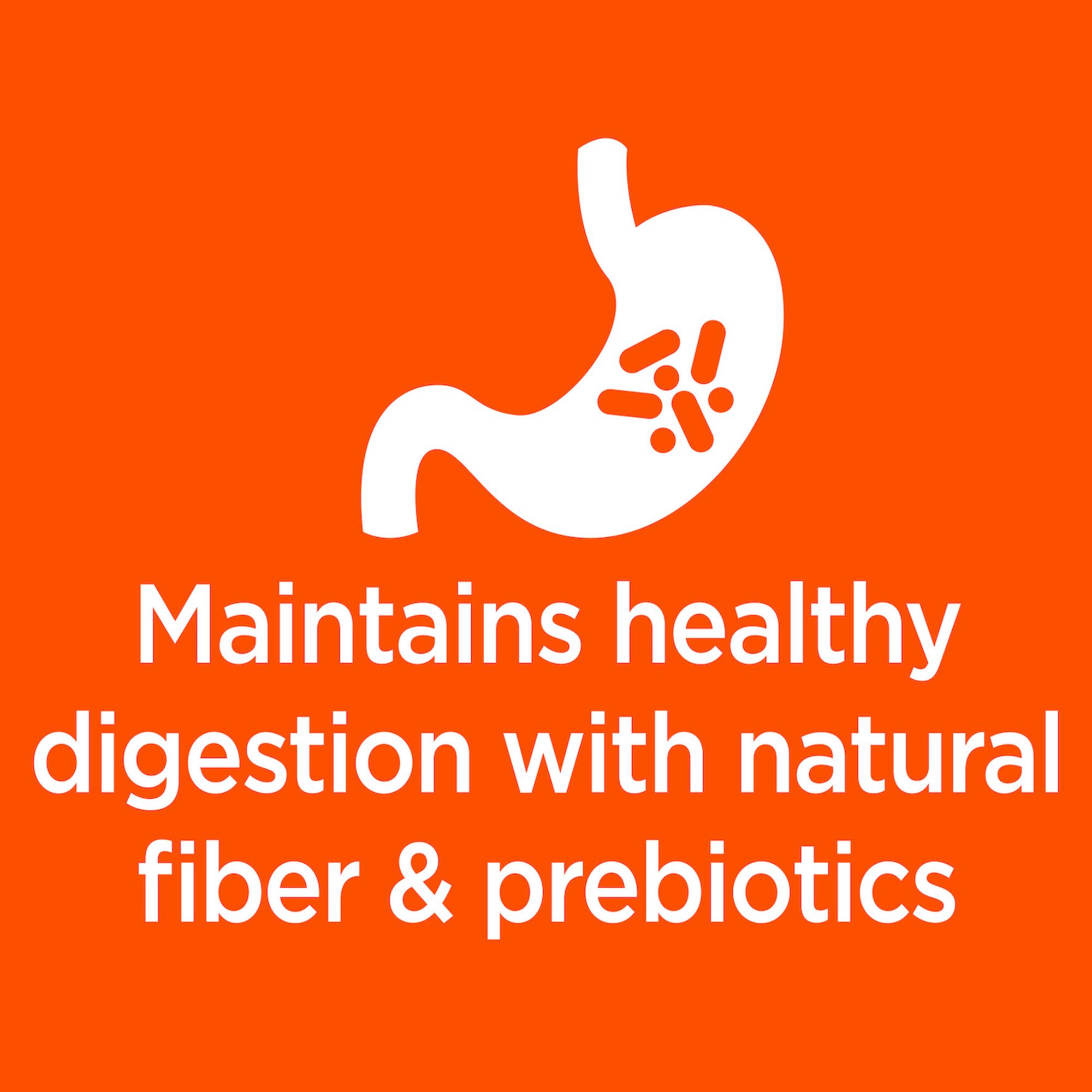 iams salmon cat food