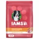 Product IAMS™ Proactive Health Adult Dry Dog Food - Lamb & Rice