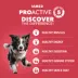 IAMS™ Proactive Health Adult Dry Dog Food - Lamb & Rice image thumbnail 2