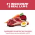 IAMS™ Proactive Health Adult Dry Dog Food - Lamb & Rice image thumbnail 3