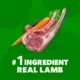 Product IAMS™ Proactive Health Adult Dry Dog Food - Lamb & Rice