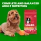 Product IAMS™ Proactive Health Adult Dry Dog Food - Lamb & Rice