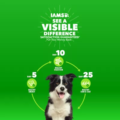 Iams proactive health adult dry dog food lamb and rice hotsell