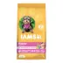 IAMS™ Proactive Health Small Breed Puppy Dry Dog Food - Healthy Development, Chicken image thumbnail 1