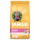 Product IAMS™ Proactive Health Small Breed Puppy Dry Dog Food - Healthy Development, Chicken