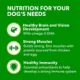 Product IAMS™ Proactive Health Small Breed Puppy Dry Dog Food - Healthy Development, Chicken