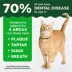 Greenies™ Feline Greenies Adult Cat Dental Treats - Natural image thumbnail 3