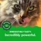 Product Greenies™ Feline Greenies Adult Cat Dental Treats - Natural