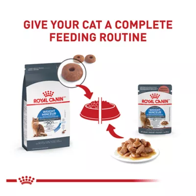 Product Royal Canin Feline Weight Care Chunks in Gravy Pouch Adult Wet Cat Food