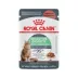 Royal Canin Feline Adult Wet Cat Food, Nutrition Digestive Care - Chunks in Gravy, 3 oz. image thumbnail 1