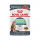 Product Royal Canin(R) Feline Care Nutrition# Digestive Care Adult Cat Chunks in Gravy Food