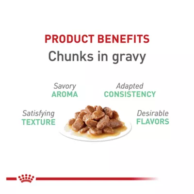 Product Royal Canin Feline Care Nutrition Digestive Care Adult Cat Wet Food, 3 Oz