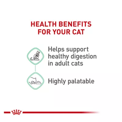 Product Royal Canin Feline Care Nutrition Digestive Care Adult Cat Wet Food, 3 Oz