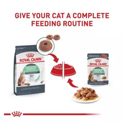 Product Royal Canin(R) Feline Care Nutrition# Digestive Care Adult Cat Chunks in Gravy Food