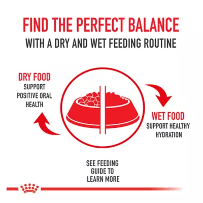 Product Royal Canin Feline Care Nutrition Digestive Care Adult Cat Wet Food, 3 Oz
