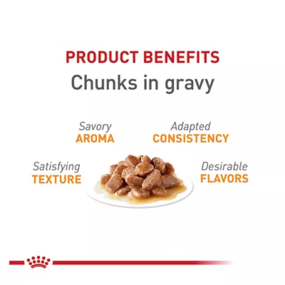 Product Royal Canin Intense Beauty Chunks in Gravy Wet Cat Food Pouch - 3 oz