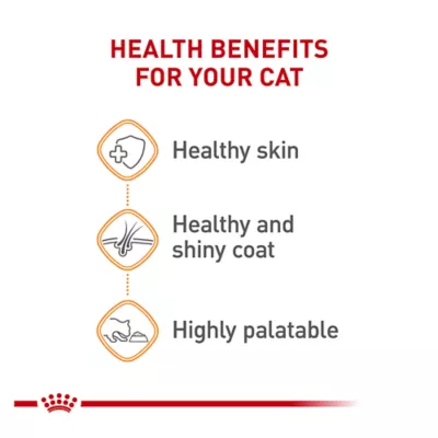 Product Royal Canin Intense Beauty Chunks in Gravy Wet Cat Food Pouch - 3 oz