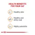 Royal Canin Feline Adult Wet Cat Food, Nutrition Hair & Skin Care - Chunks in Gravy, 3 oz. image thumbnail 5
