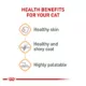 Product Royal Canin Intense Beauty Chunks in Gravy Wet Cat Food Pouch - 3 oz