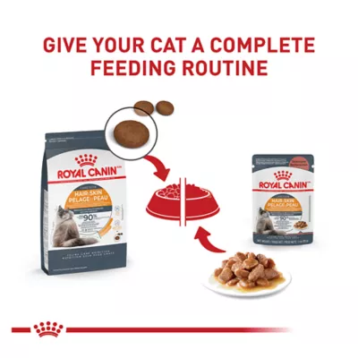 Product Royal Canin Intense Beauty Chunks in Gravy Wet Cat Food Pouch - 3 oz