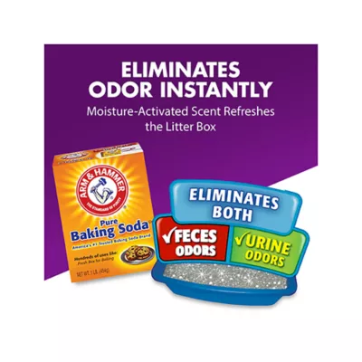 Product Arm & Hammer Double Duty Cat Litter Deodorizer