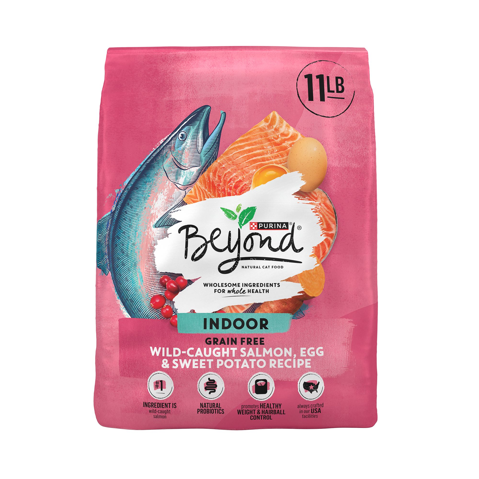 Purina Beyond Simply Indoor Adult Cat Dry Food Salmon