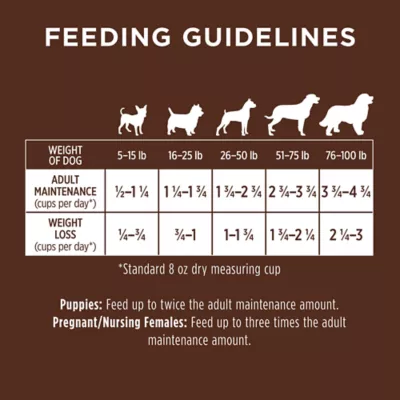 Product Instinct® Be Natural ™ All Life Stages Dry Dog Food - Salmon & Brown Rice