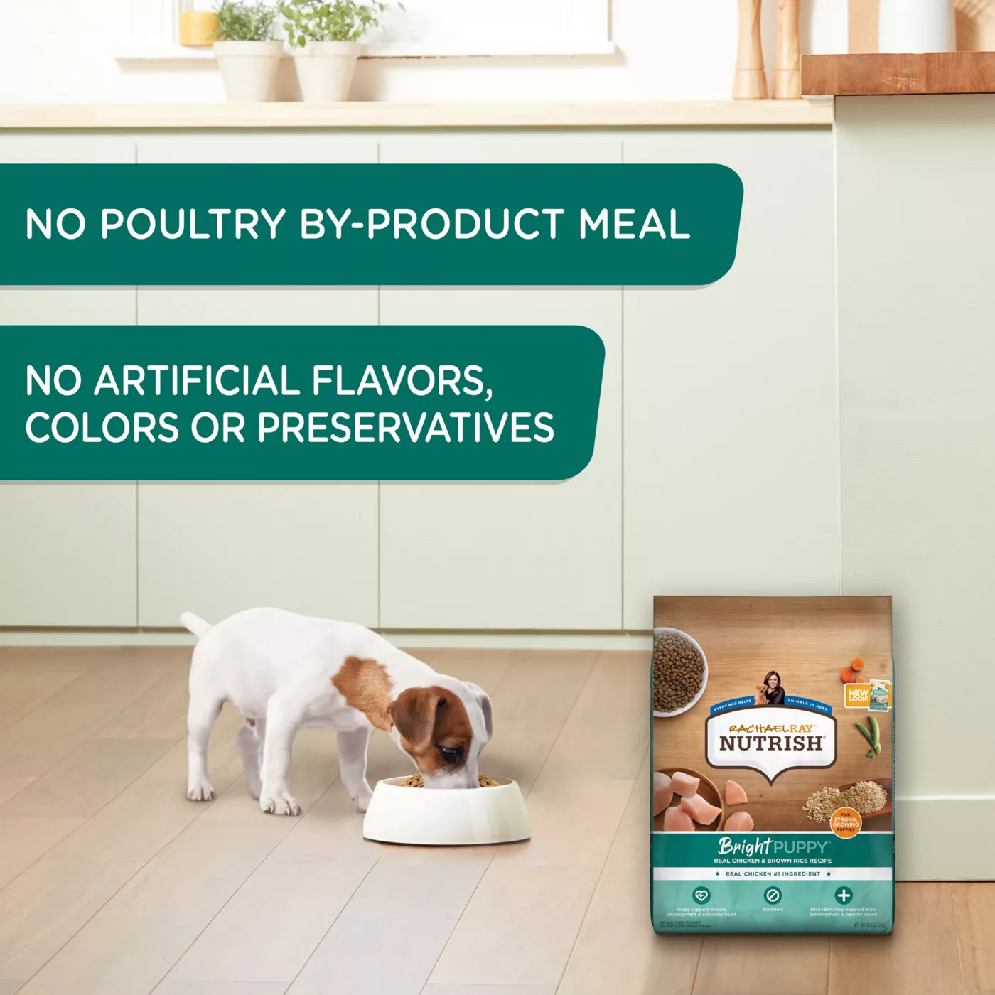 Save on Rachael Ray Nutrish PEAK Raw Bites Dry Dog Food Open Range Natural Order Online Delivery