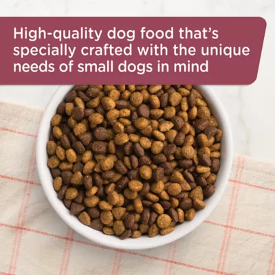 Rachael ray nutrish little bites small breed hotsell