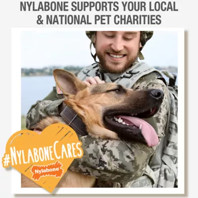 Product Nylabone® Healthy Edibles® Natural Puppy Chew Treats - Lamb & Apple