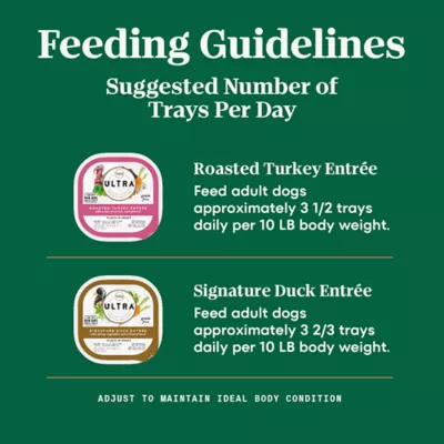 Product NUTRO ULTRA™ Adult Wet Dog Food - Filets in Gravy , 12 Count