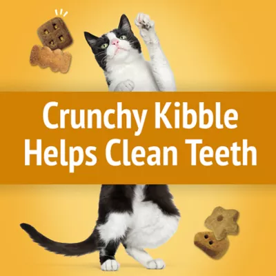 Product Purina® Friskies® Party Mix Cat Treats - Cheezy Craze Crunch