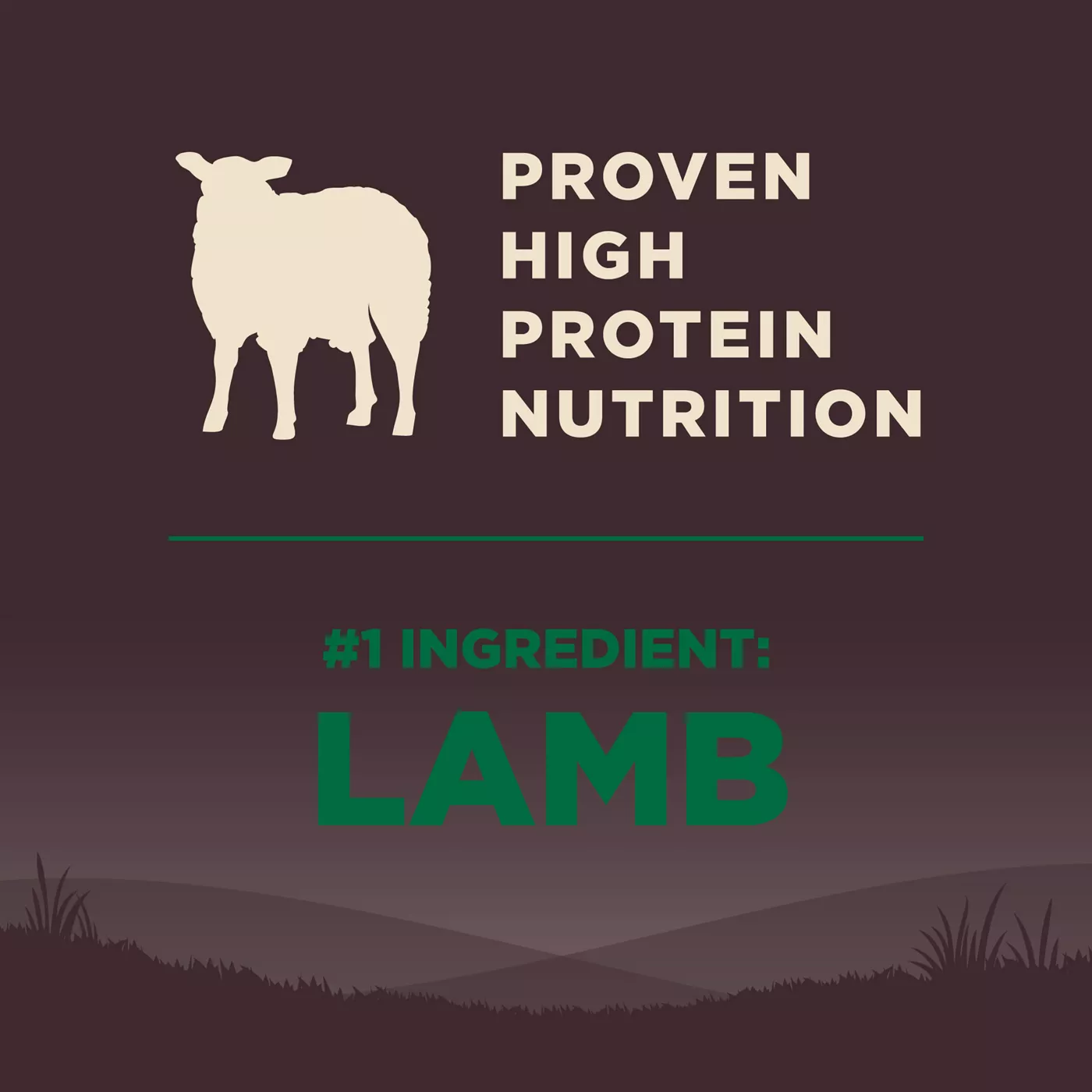 Wellness CORE Adult Dog Food Natural Grain Free Lamb