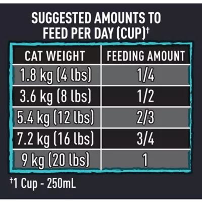 Product CRAVE™ Adult Cat Food - Salmon & Oceanfish