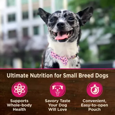 Product Wellness CORE Mini Meals Shredded All Life Stage Wet Dog Food - Natural, Grain Free