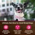 Wellness CORE Mini Meals Shredded All Life Stage Wet Dog Food - Natural, Grain Free image thumbnail 5