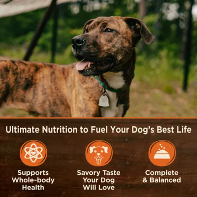 Product Wellness CORE 95% All Life Stage Wet Dog Food - Natural, Grain Free