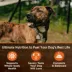 Wellness CORE 95% All Life Stage Wet Dog Food - Natural, Grain Free image thumbnail 3