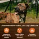 Product Wellness CORE 95% All Life Stage Wet Dog Food - Natural, Grain Free