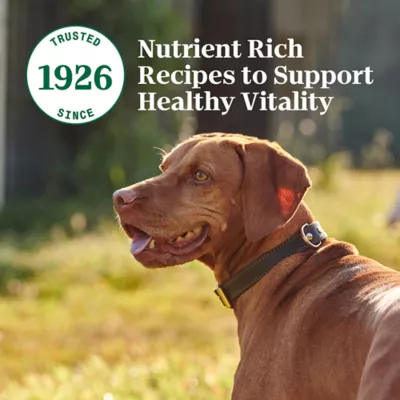 Nutro Grain Free Cuts in Gravy Adult Wet Dog Food Tender Chicken Roasted Turkey 3.5oz 12ct Variety Pack