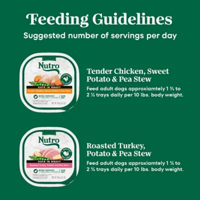 Product Nutro Natural Choice™ Cuts in Gravy Adult Wet Dog Food - Grain Free, Variety Pack, 12 Count