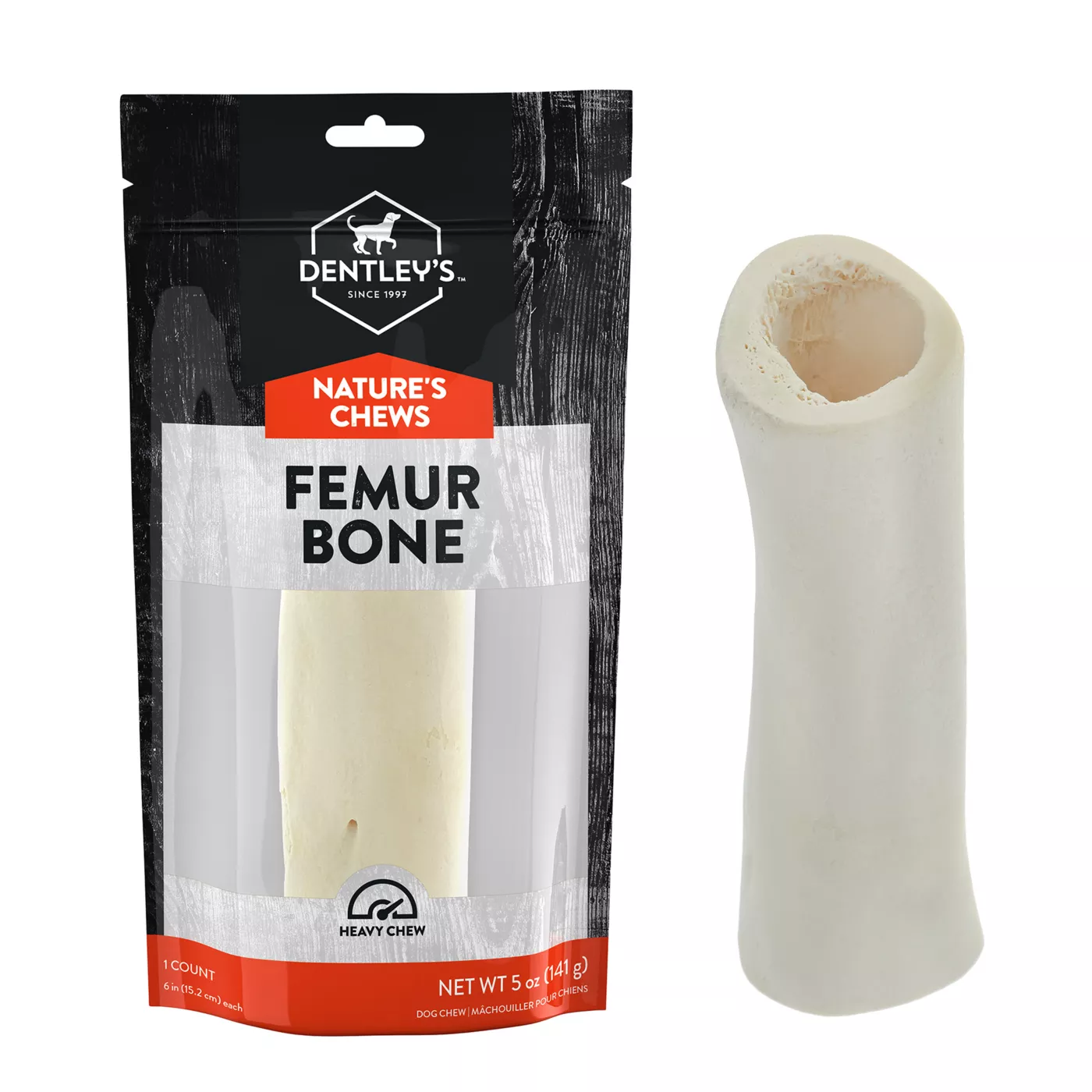 Dentley s delicate femur bone