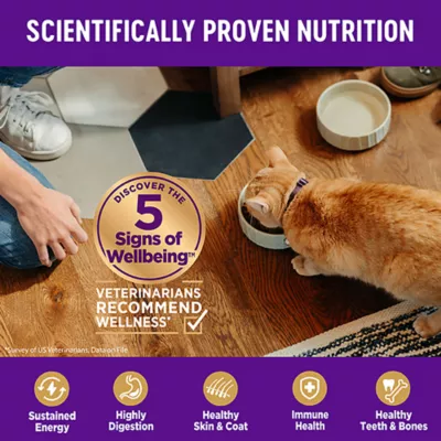 Product Wellness® Complete Health Indoor Cat Food - Natural, Grain Free, Deboned Chicken & Chicken Meal