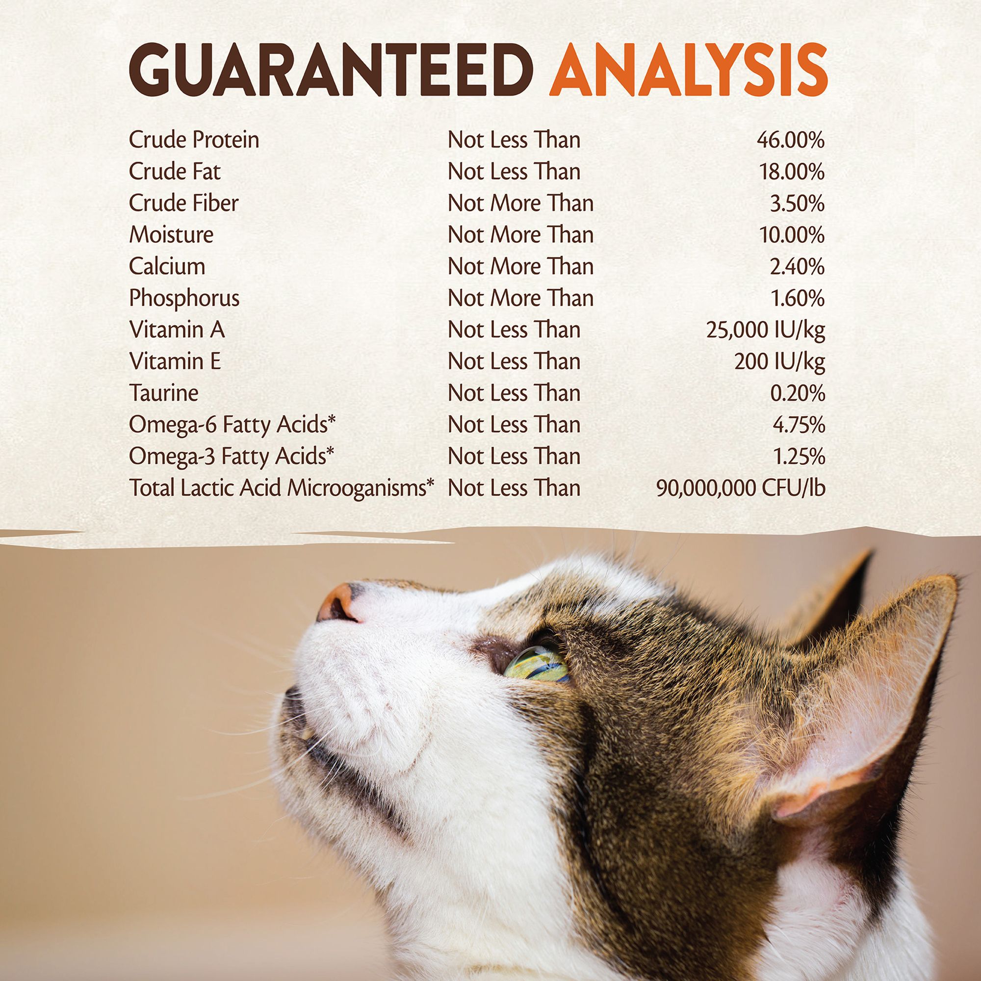 wellness rawrev cat food