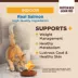 Wellness® CORE® Indoor Adult Cat Food - Natural, Grain Free, Salmon & Herring Meal image thumbnail 3