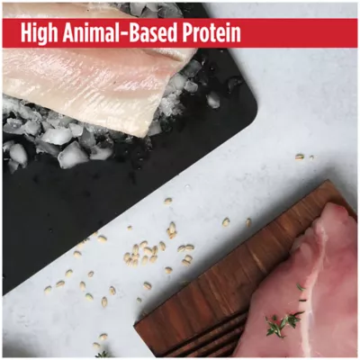 Product Nulo MedalSeries  All Life stages Dry Cat Food - Grain Free, Turkey & Cod