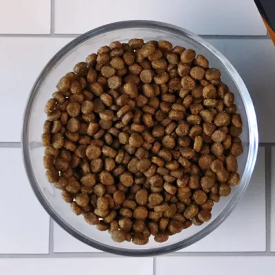 Nulo MedalSeries  All Life stages Dry Cat Food - Grain Free, Turkey & Cod - Image 9