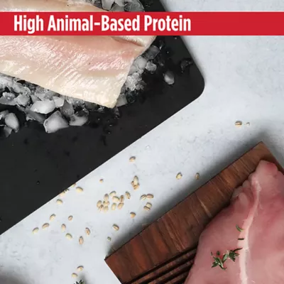 Nulo MedalSeries  All Life stages Dry Cat Food - Grain Free, Turkey & Cod - Image 10