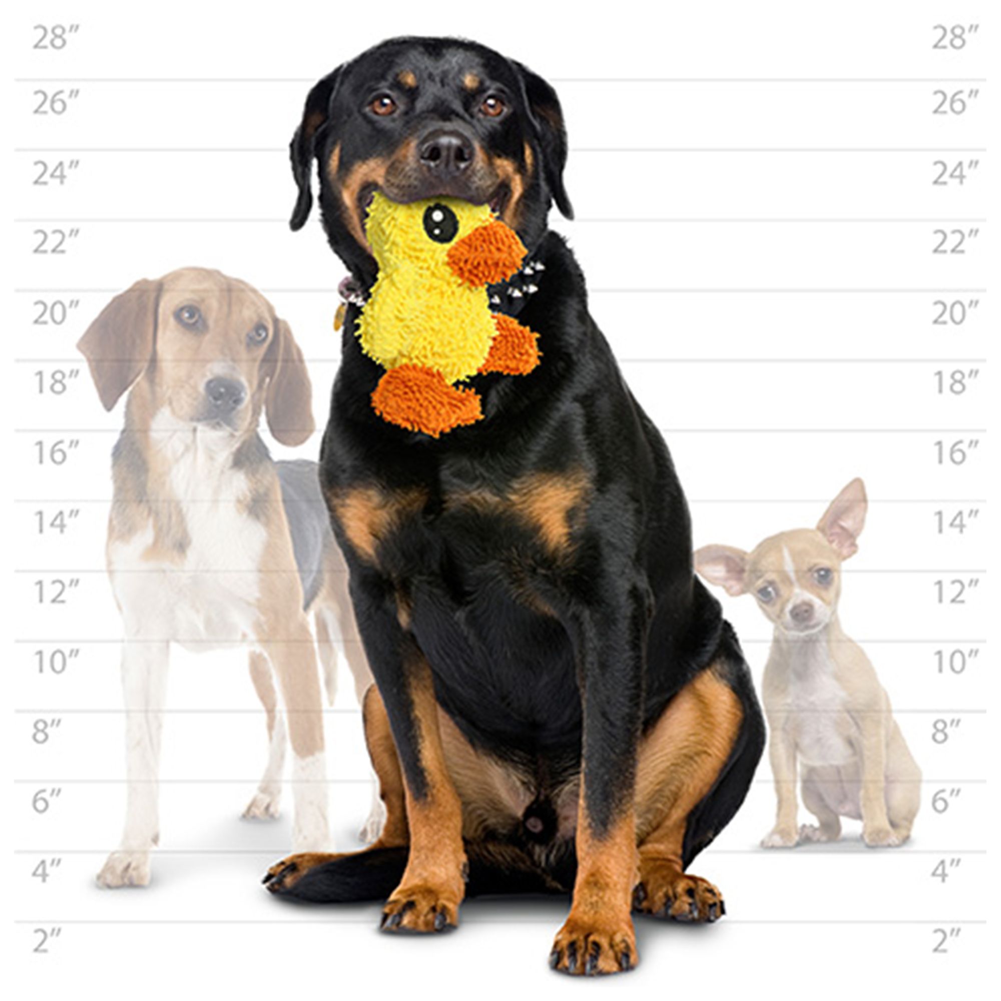 mighty microfiber dog toys