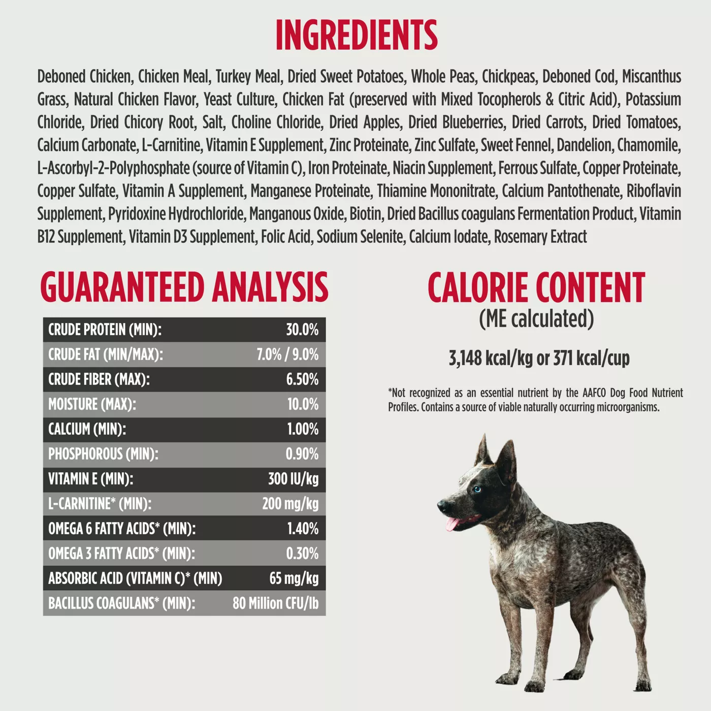 High protein low fat dry dog food best sale